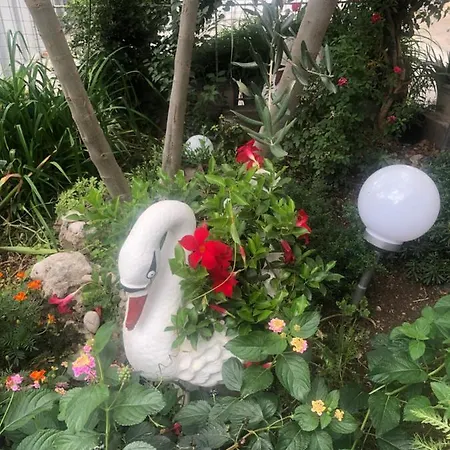 Apartmani Josipa Šibenik Esterno foto