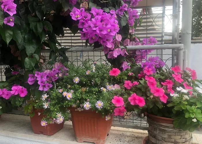 Apartmani Josipa